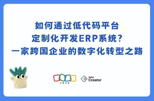 跨国企业如何用低代码平台开发erp系统