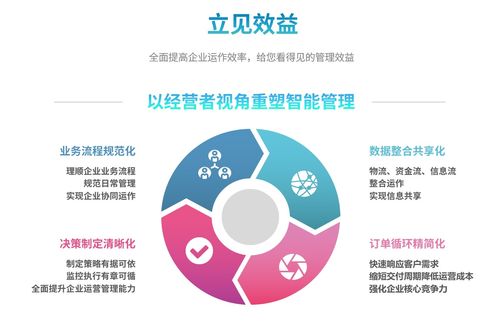 erp二次开发阶段有什么风险
