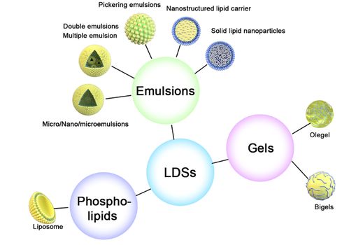 功能食品脂基递送体系的制备和应用现状及其在B2C系统开发中的整合